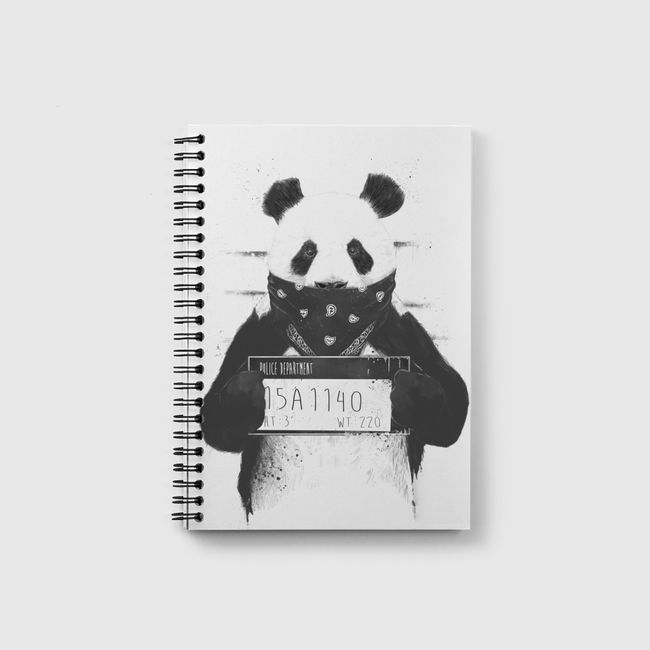 Bad panda - Notebook