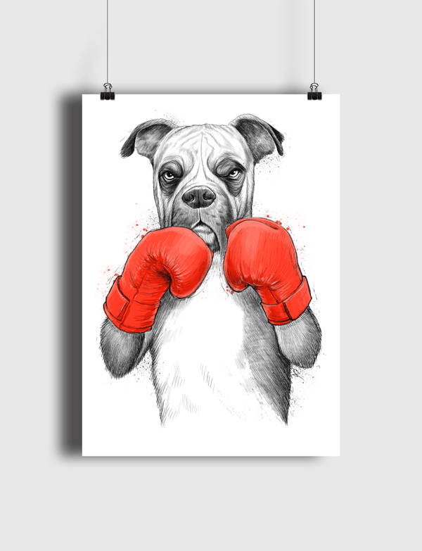 Boxer Poster