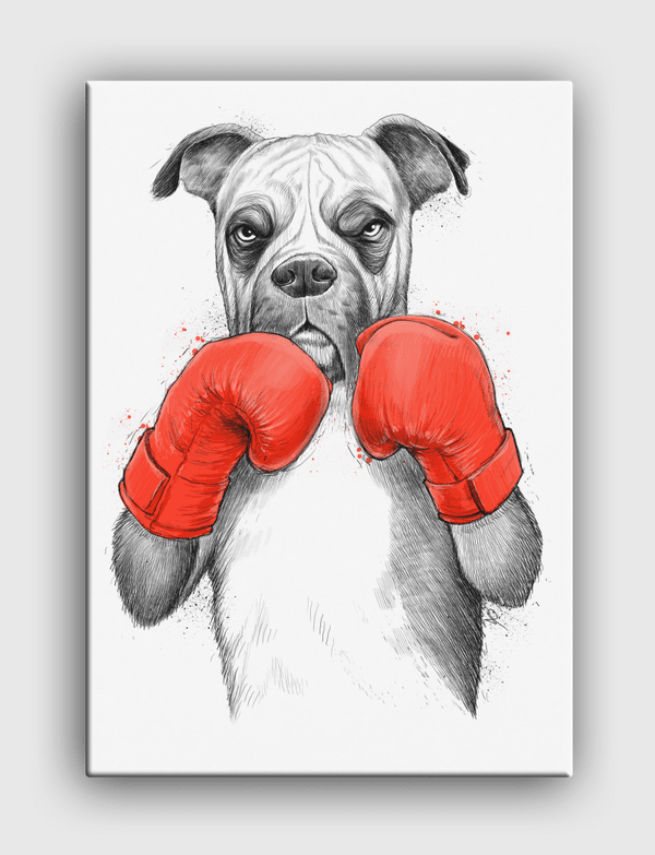 Boxer Canvas