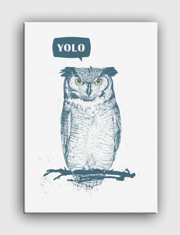 Yolo Canvas