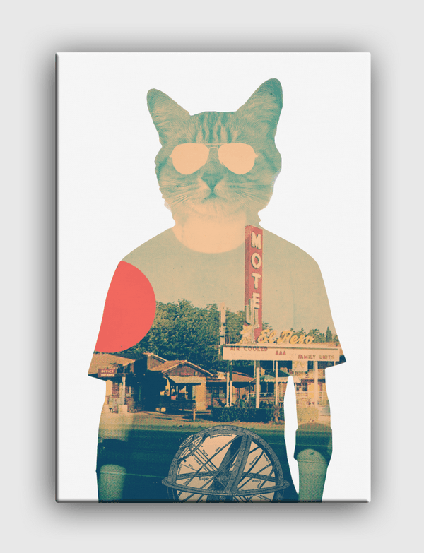 Cool Cat Canvas