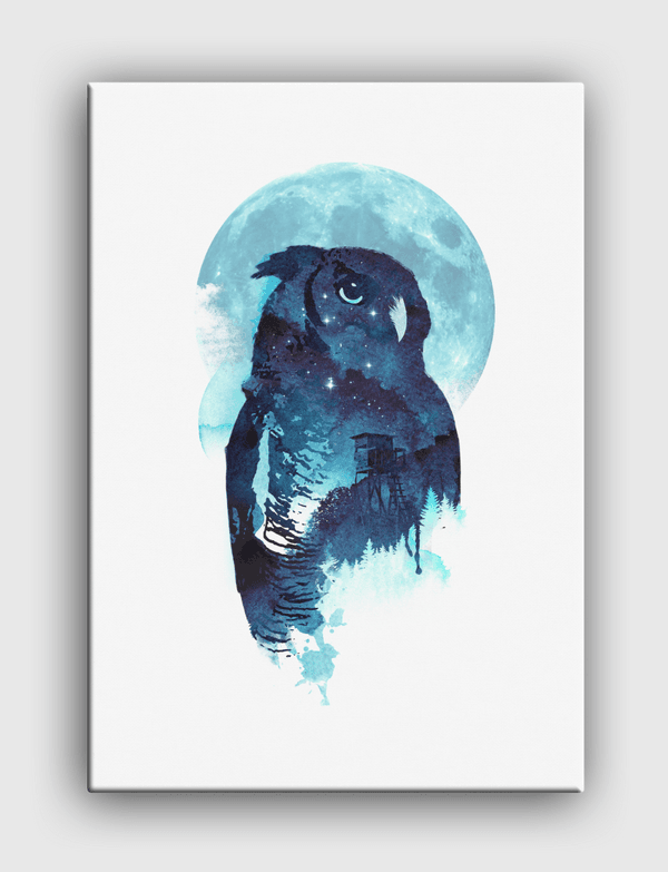 Midnight owl Canvas