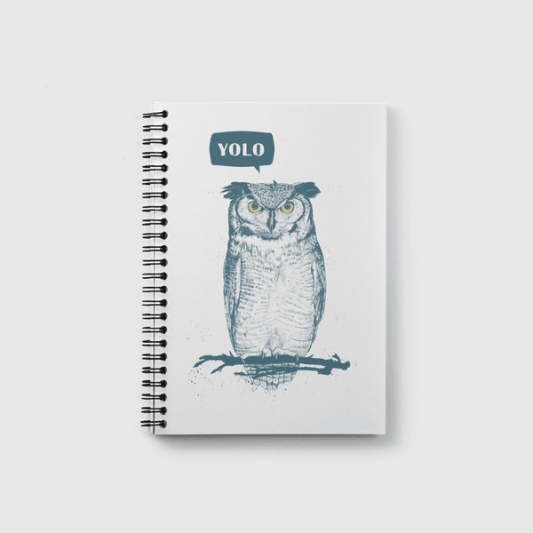 Yolo Notebook