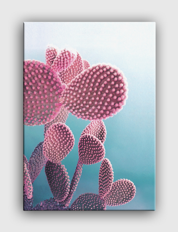 Candy cactus Canvas