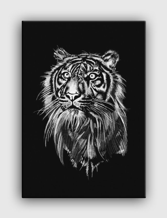 Tiger - Canvas