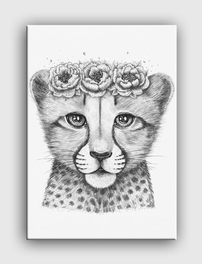 Cheetah cub - Canvas