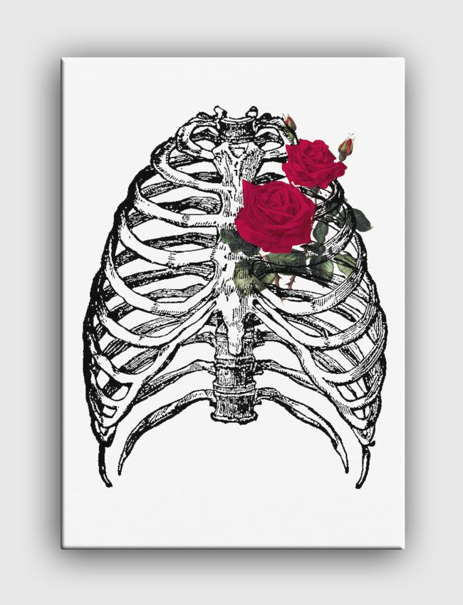 🌹 Rib cage  - Canvas